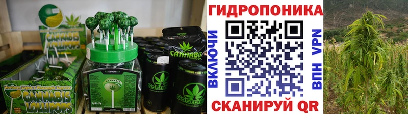 Canna-Cookies марихуана  Снежногорск 