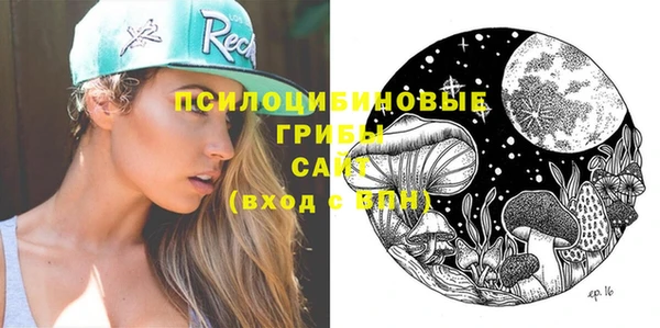 ешки Алексеевка