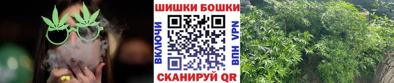 где найти   Снежногорск  площадка Telegram  Конопля план 
